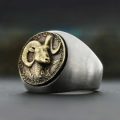 Zodiac-Rings Zodiac-Rings